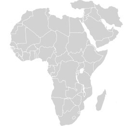 Middle East & Africa