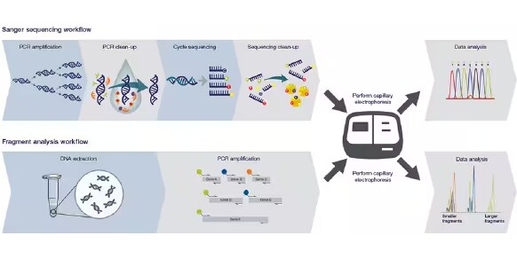 learn-more-about-applied-biosystems-22-2616 learn-more-about-applied-biosystems-22-2616