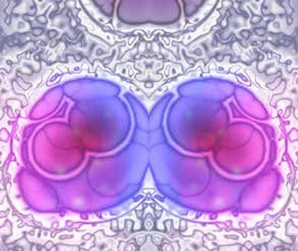 growing-cells-on-mirrors growing-cells-on-mirrors